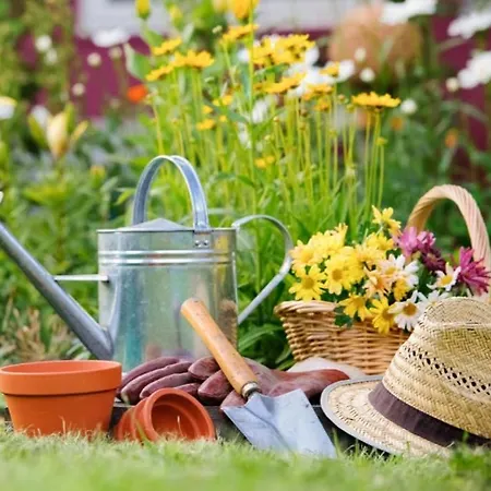 Casa di campagna Il Casale Dei Girasoli In